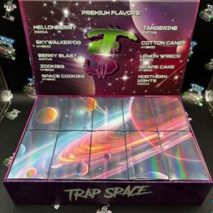 Trap Space 2g Disposable Vape