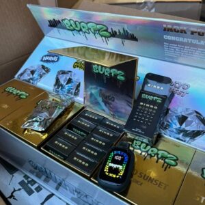 Burtz 2g Disposable Vape