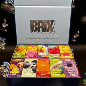 Brix 2g Disposable Vape