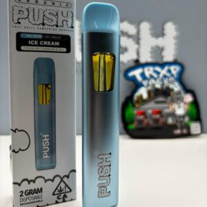 PUSH 2G Disposable Vape
