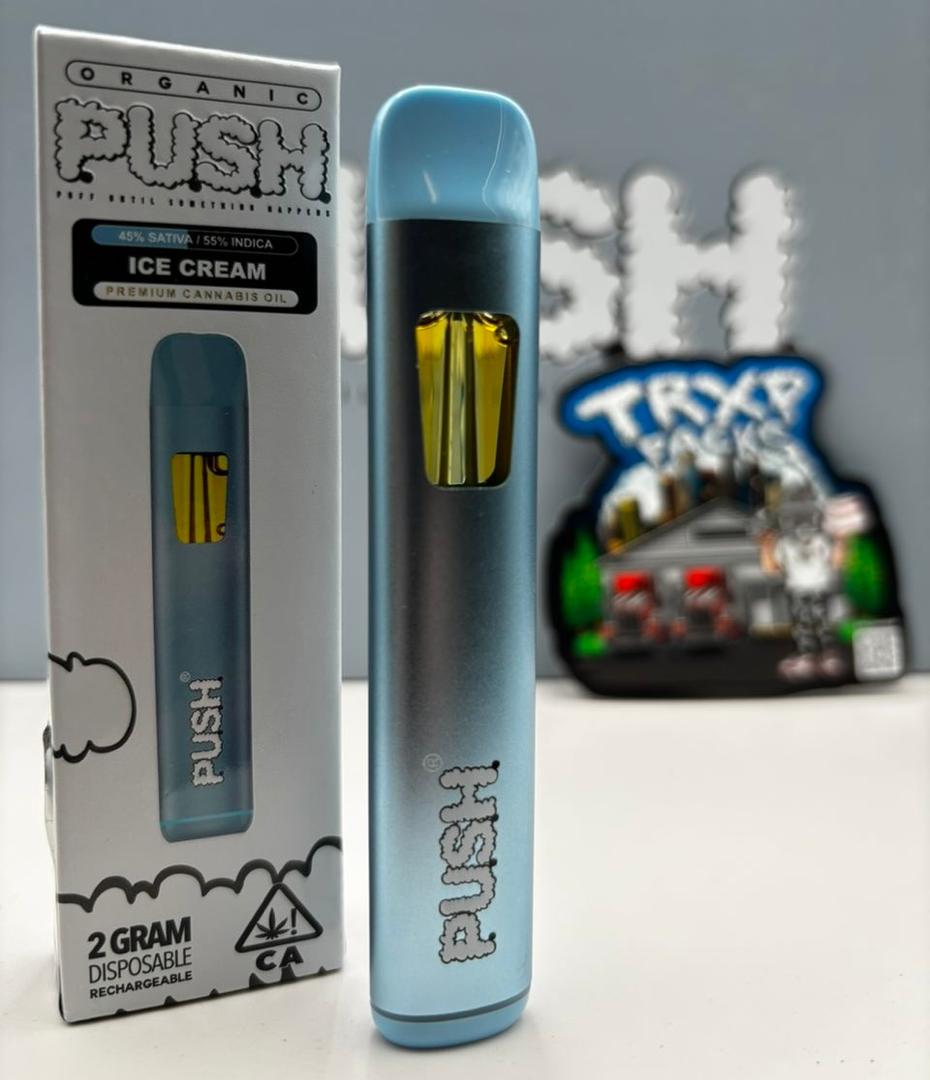PUSH 2G Disposable Vape